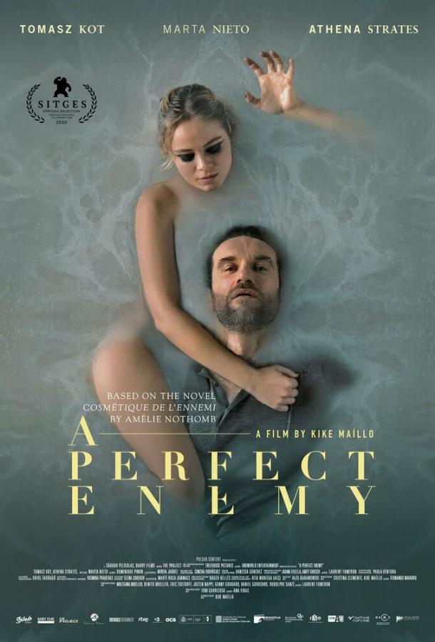 Фильм Идеальный враг (2020) смотреть онлайн бесплатно